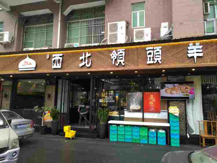 西北领头羊