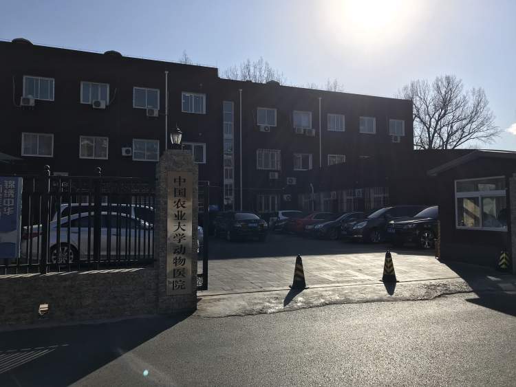 中国农业大学动物医院