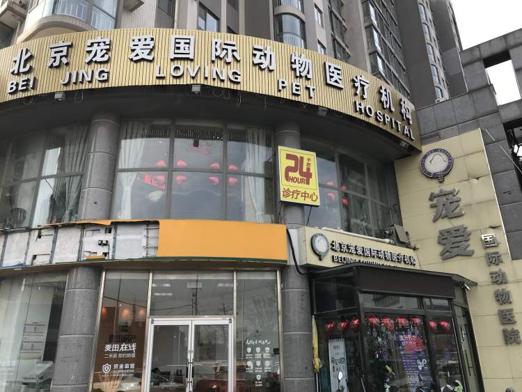 宠爱国际动物医院