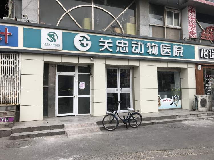 关忠动物医院连锁机构