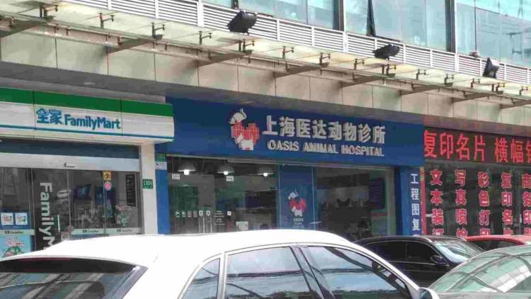 医达动物诊所
