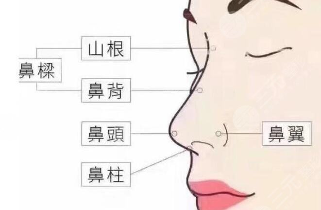 福州格莱美美容医院擅长项目科普