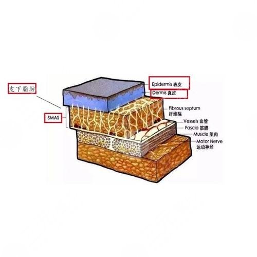 fotona4D全脸多少钱?