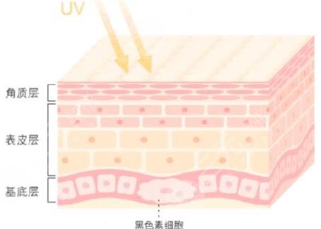 果酸嫩肤动漫