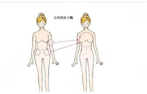 怎么胸大一点?