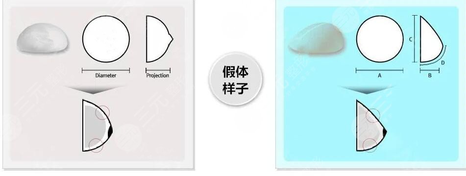 曼托和傲诺拉的区别有哪些?