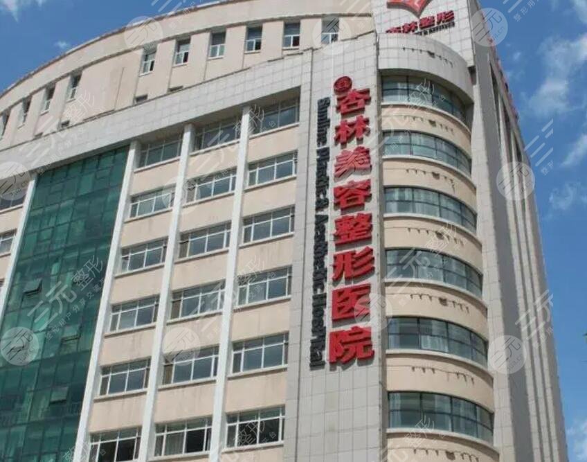 沈阳杏林做拉皮怎么样?