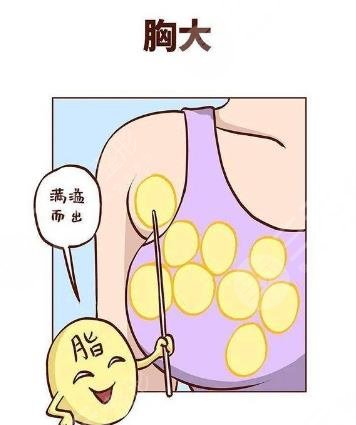 副乳