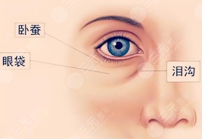 下眼睑切除手术